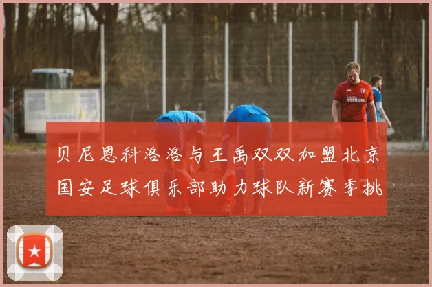 贝尼恩科洛洛与王禹双双加盟北京国安足球俱乐部助力球队新赛季挑战