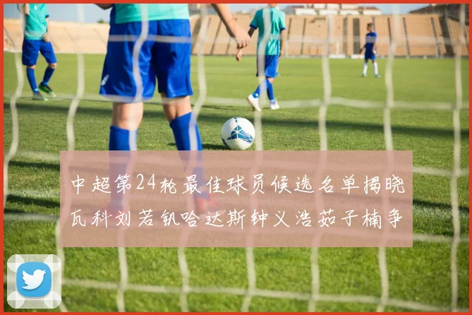 中超第24轮最佳球员候选名单揭晓瓦科刘若钒哈达斯钟义浩茹子楠争夺荣誉