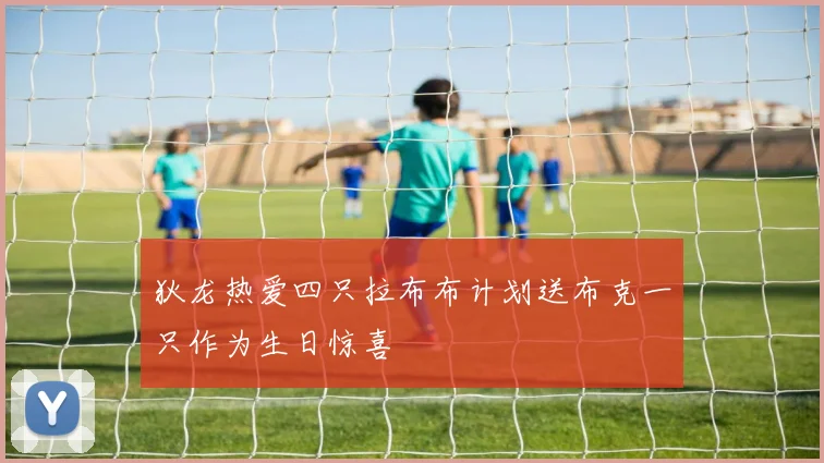 狄龙热爱四只拉布布计划送布克一只作为生日惊喜